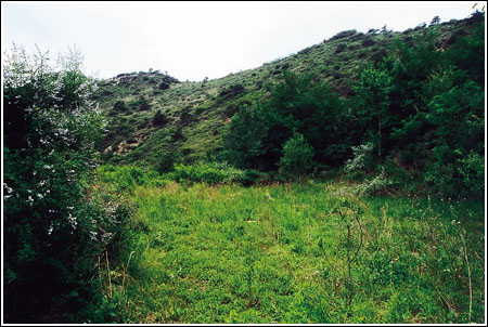 2005118214526555.jpg