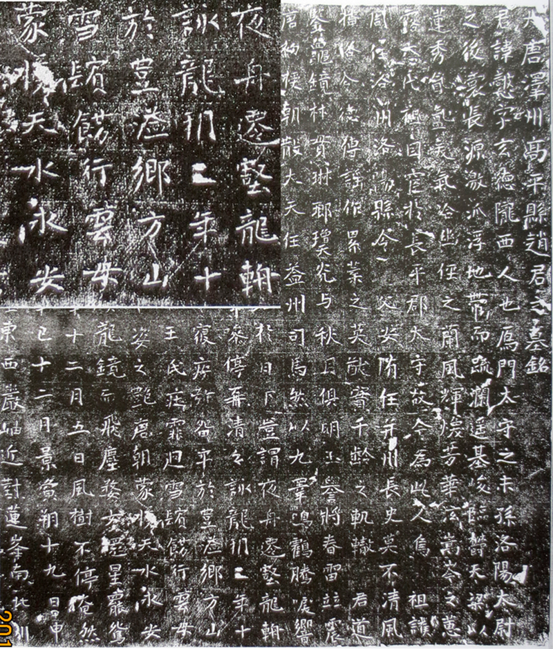 ͼ壺_8716+ֲ.jpg